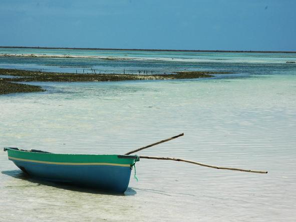 Pongwe Beach Hotel - Location 